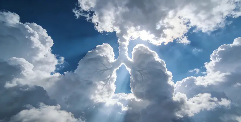 临夏肺癌靶向120基因检测（组织）图片1